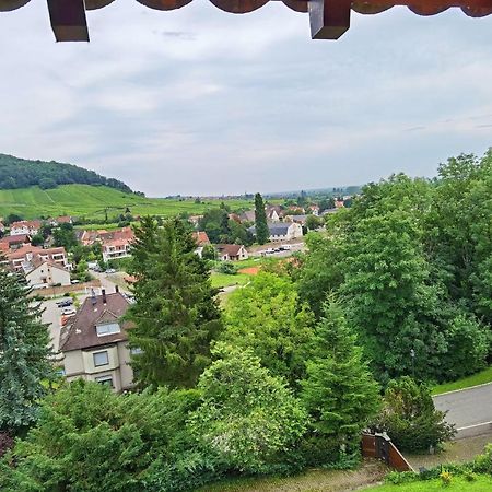 Ferienwohnung Chez Aude Andlau-au-Val Exterior foto