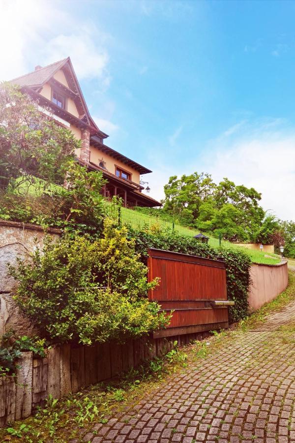 Ferienwohnung Chez Aude Andlau-au-Val Exterior foto