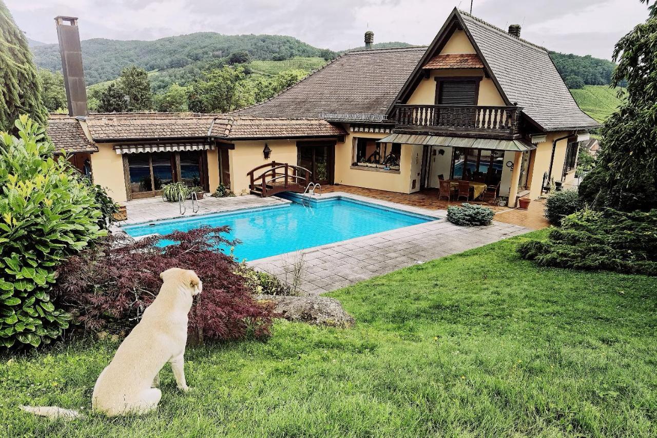 Ferienwohnung Chez Aude Andlau-au-Val Exterior foto