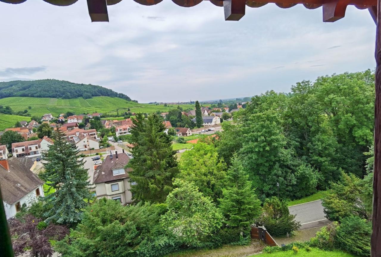 Ferienwohnung Chez Aude Andlau-au-Val Exterior foto