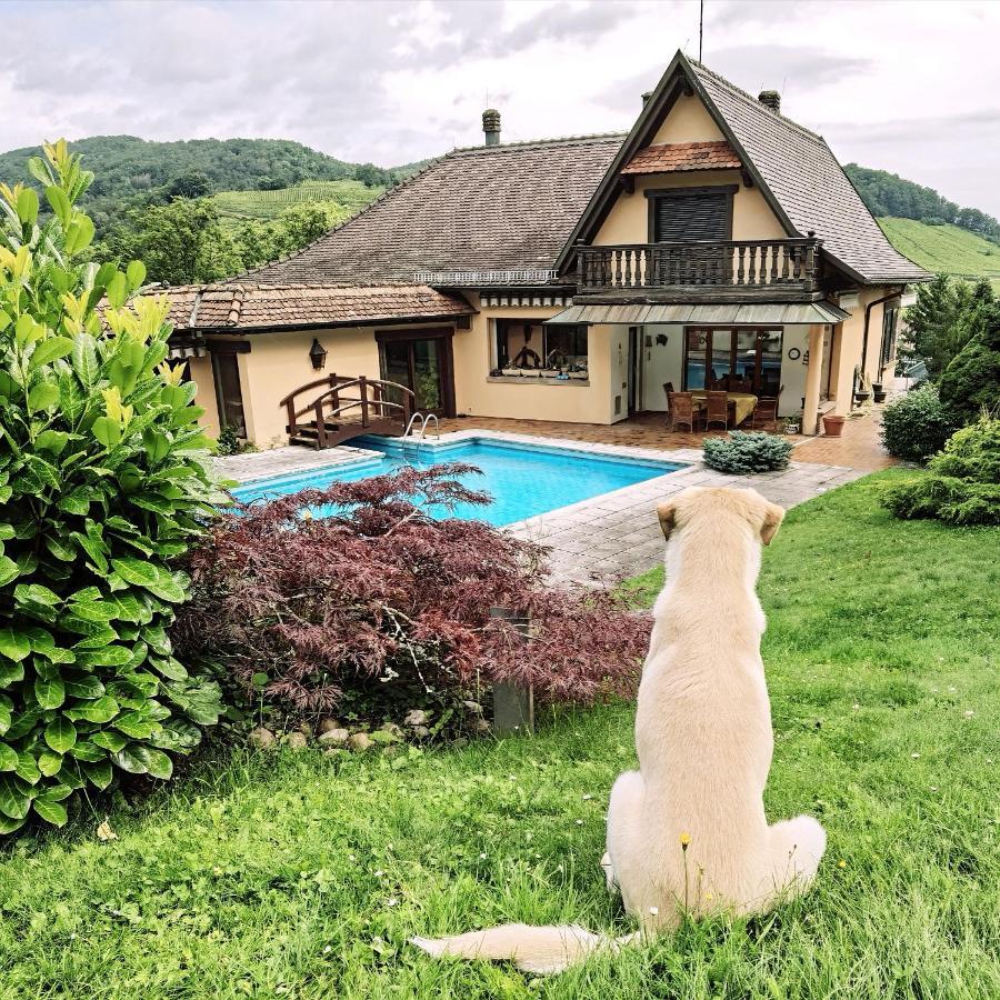 Ferienwohnung Chez Aude Andlau-au-Val Exterior foto