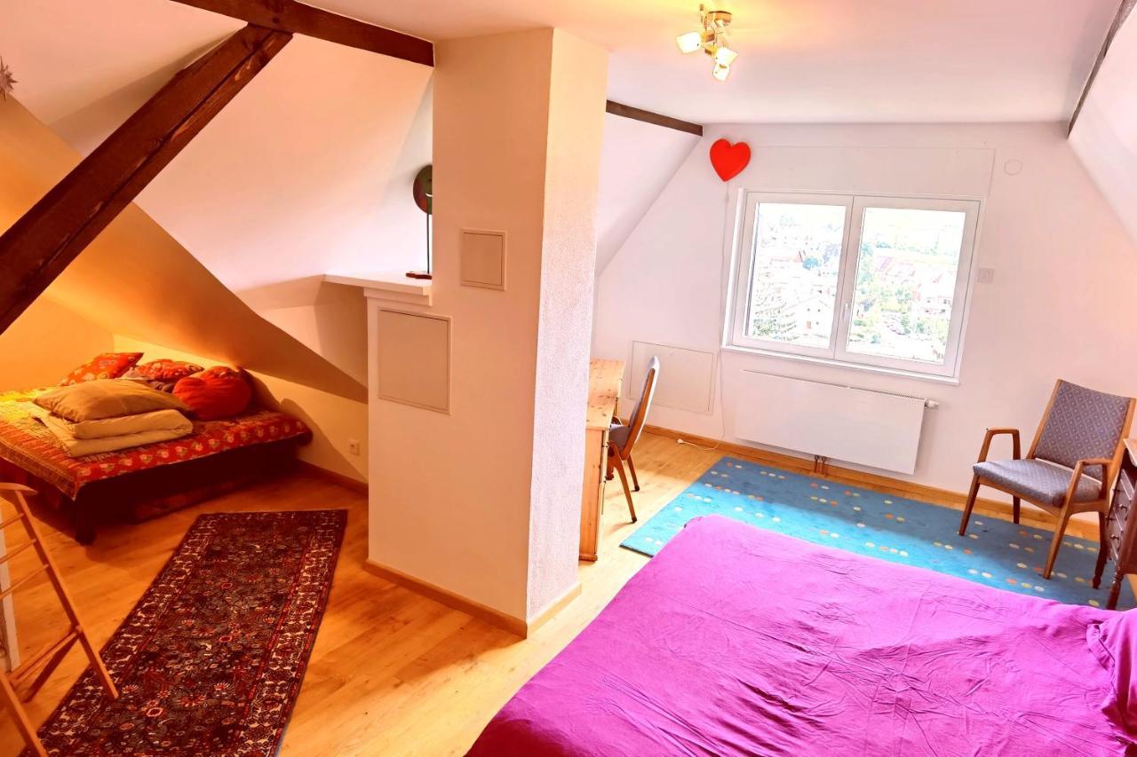 Ferienwohnung Chez Aude Andlau-au-Val Exterior foto